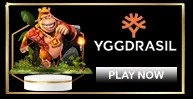 img proviider